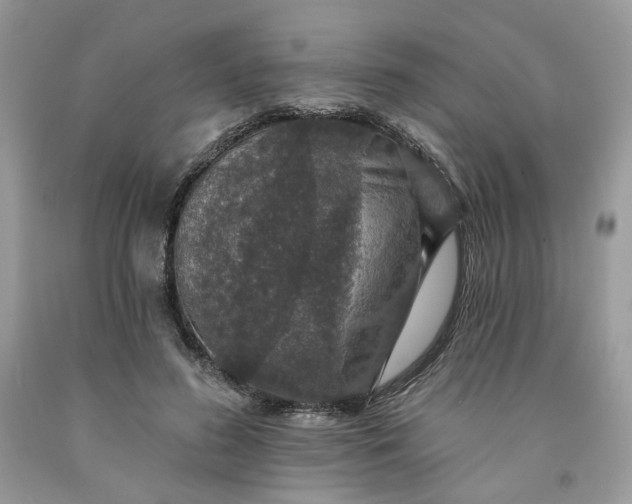 X0000091460596200709061758