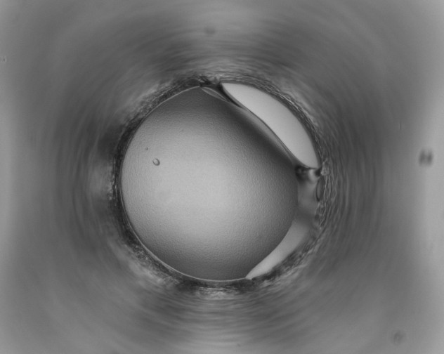 X0000091460597200709061758