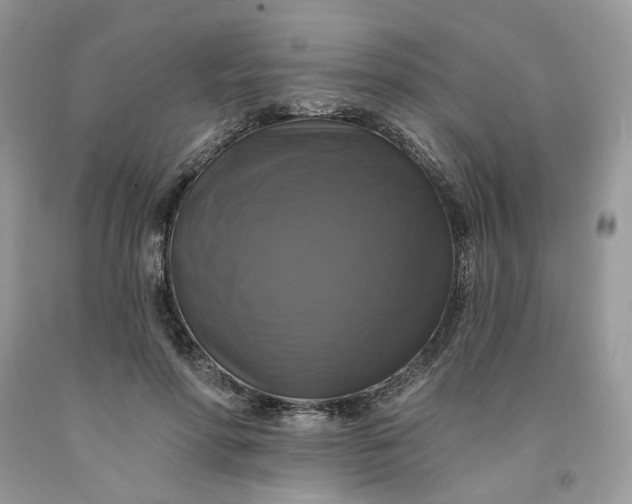 X0000091460598200709061758