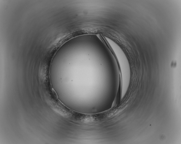 X0000091460600200709061758