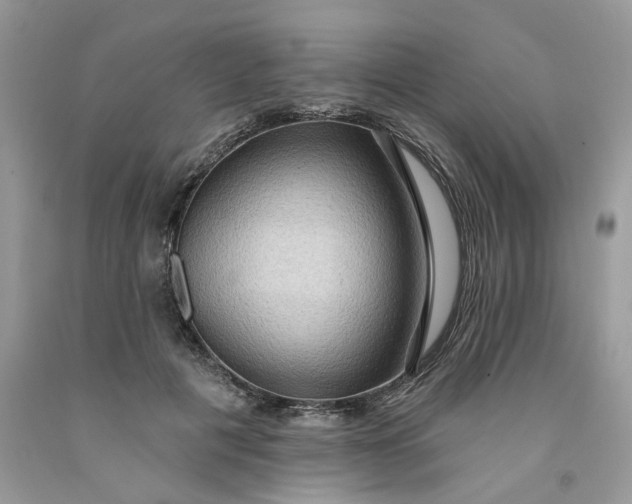X0000091460601200709061758