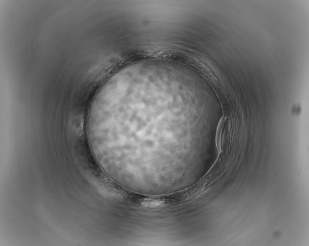 X0000091460602200709061758