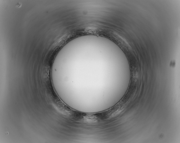 X0000091460603200709061758