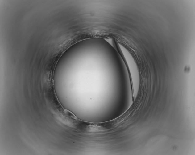 X0000091460605200709061758