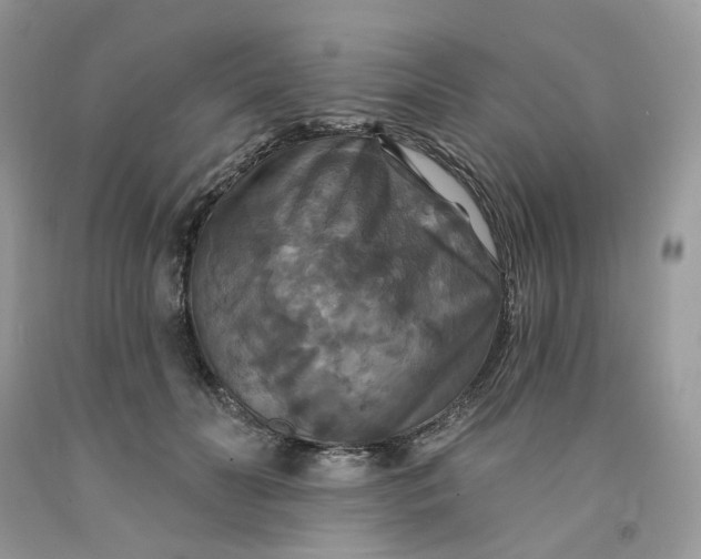 X0000091460606200709061758