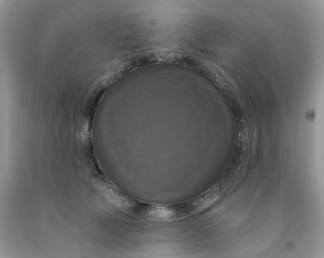 X0000091460610200709061758