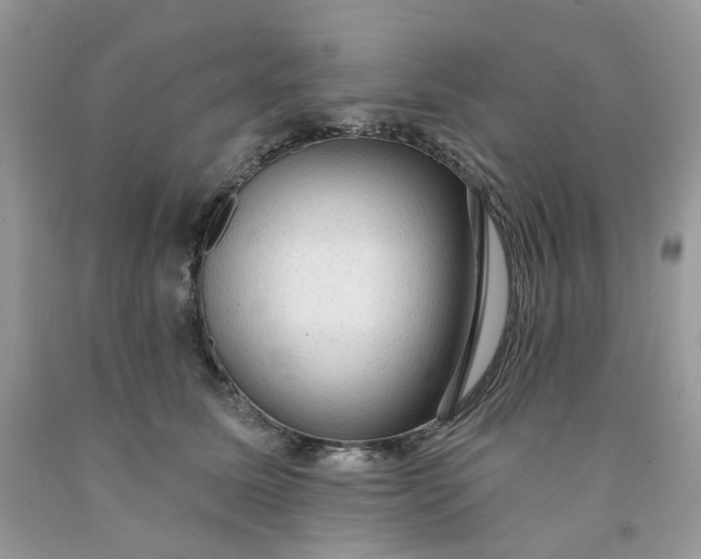 X0000091460611200709061758