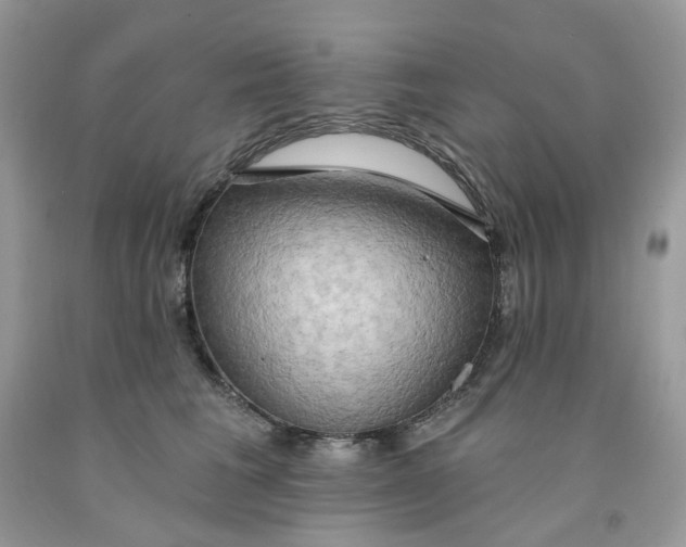 X0000091460613200709061758