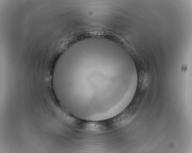 X0000091460614200709061758