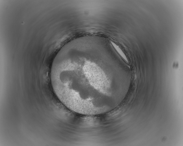 X0000091460615200709061758