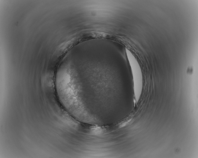 X0000091460616200709061757