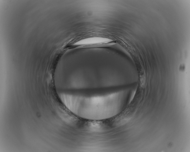 X0000091460618200709061757