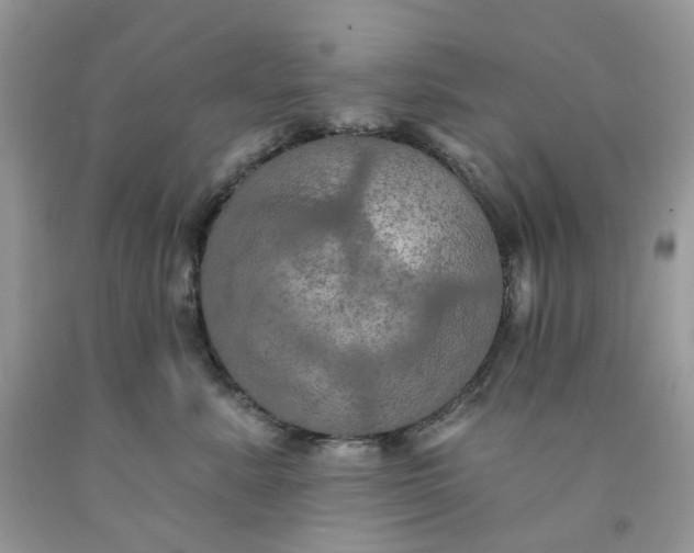 X0000091460619200709061757