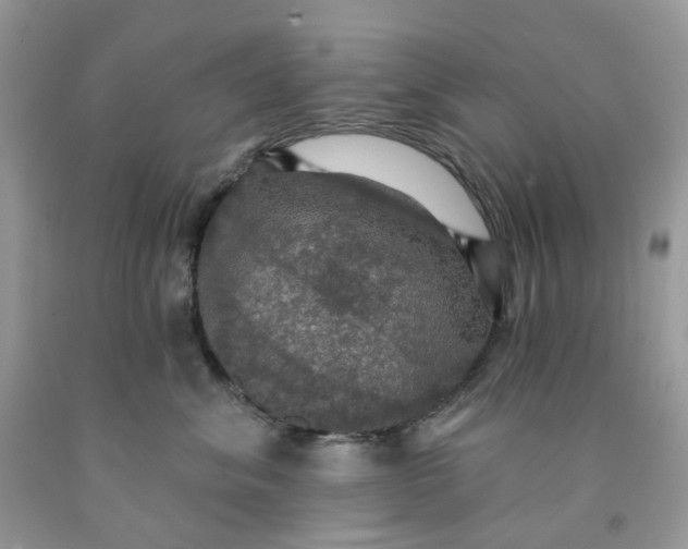 X0000091460620200709061757