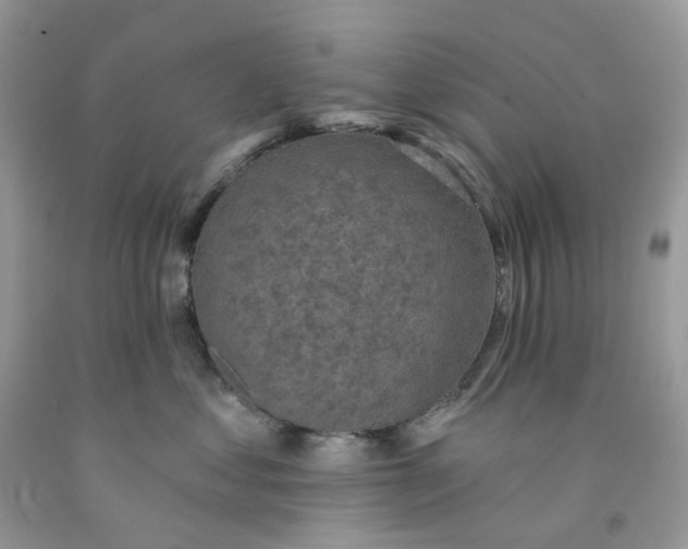 X0000091460621200709061757