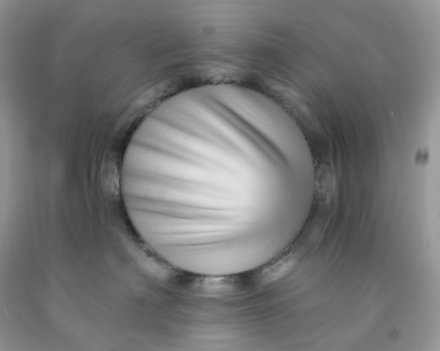 X0000091460622200709061757