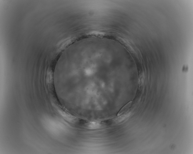 X0000091460623200709061757