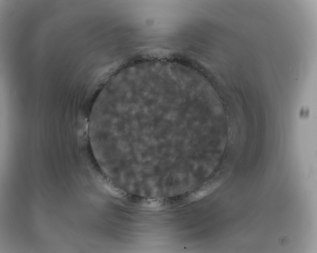 X0000091460624200709061757