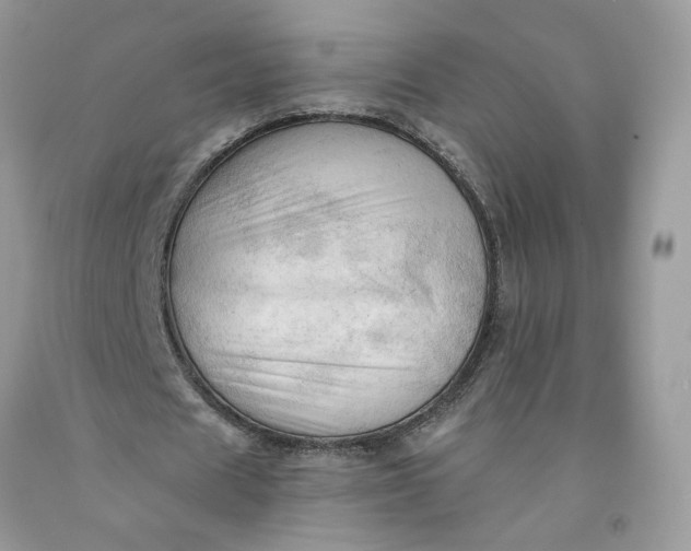 X0000091460625200709061757