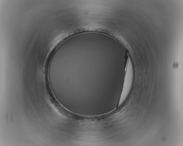 X0000091460626200709061757