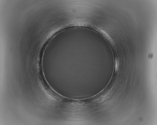 X0000091460627200709061757