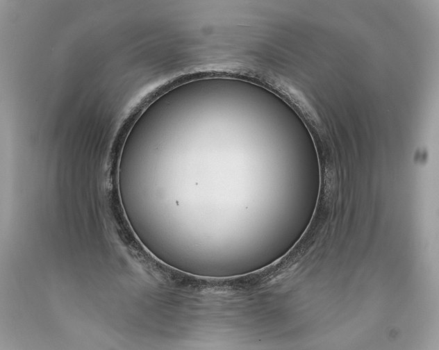 X0000091460628200709061757