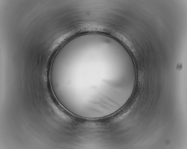 X0000091460629200709061757