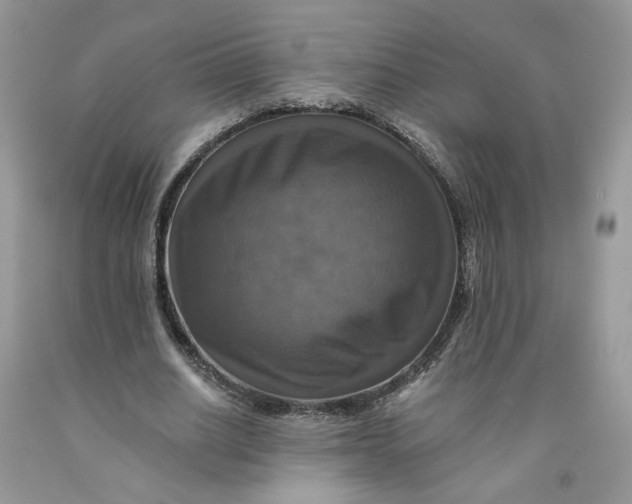 X0000091460630200709061757