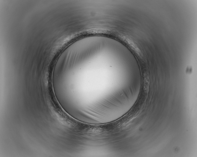 X0000091460631200709061757