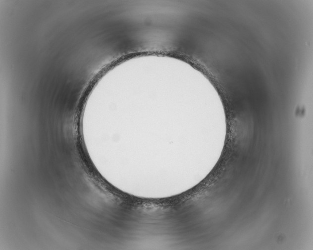 X0000091460632200709061757