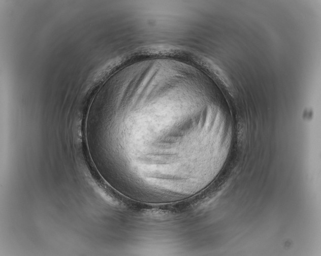 X0000091460633200709061757