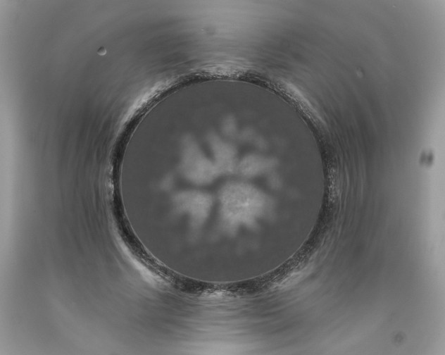 X0000091460634200709061757