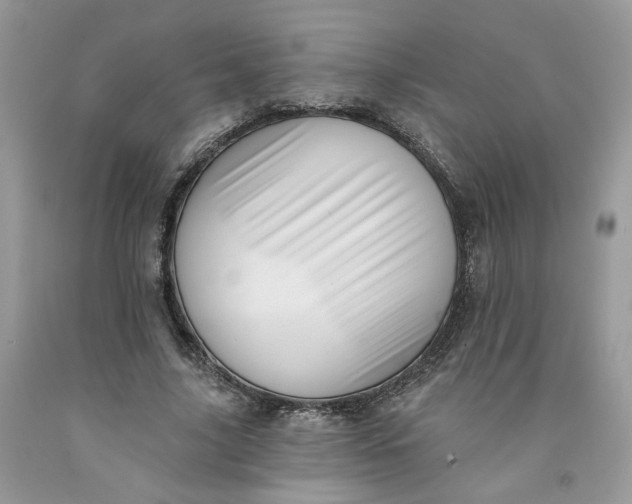 X0000091460635200709061757