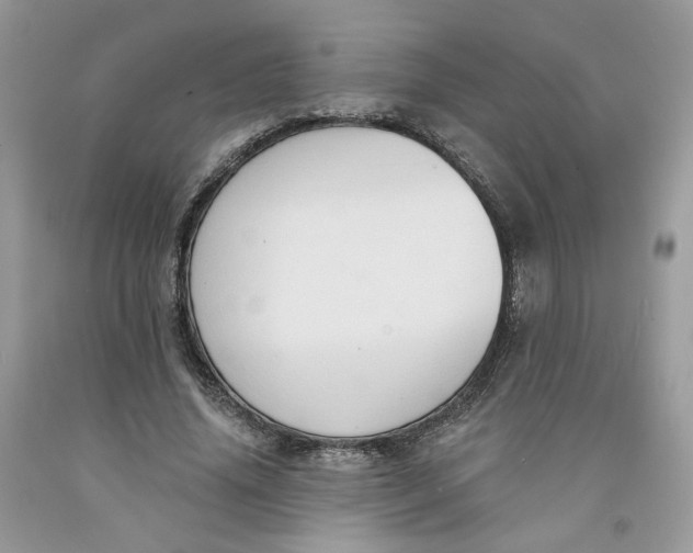 X0000091460636200709061757