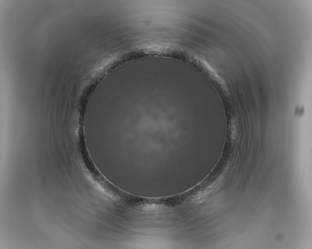 X0000091460637200709061757