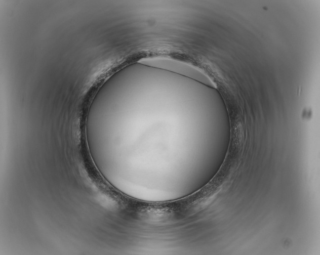 X0000091460638200709061757