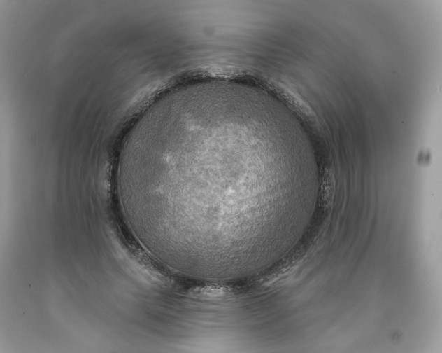 X0000091460639200709061757