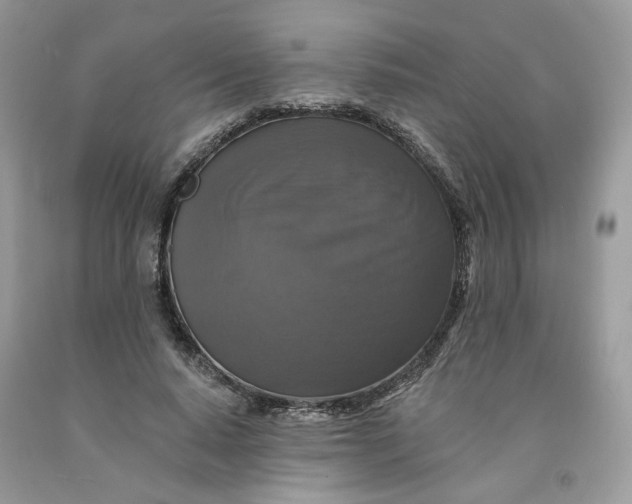 X0000091460640200709061757