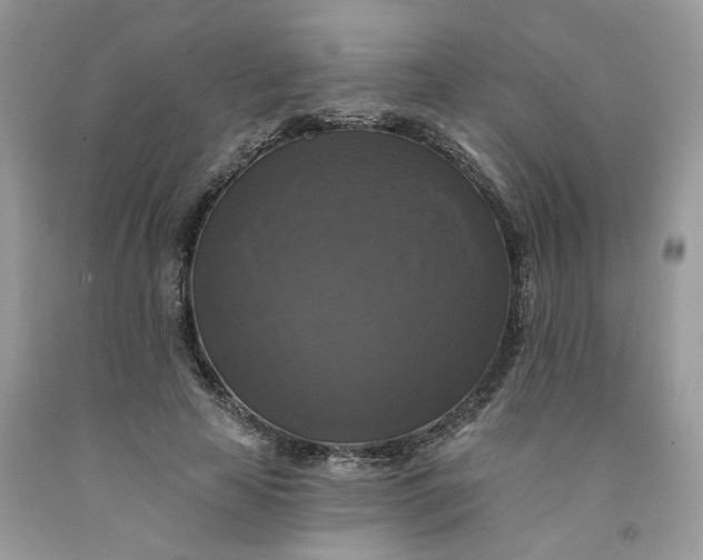 X0000091460641200709061757