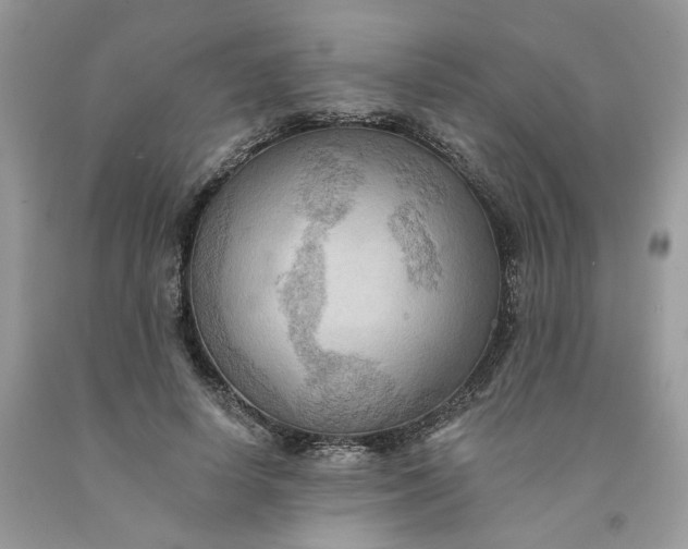 X0000091460642200709061757