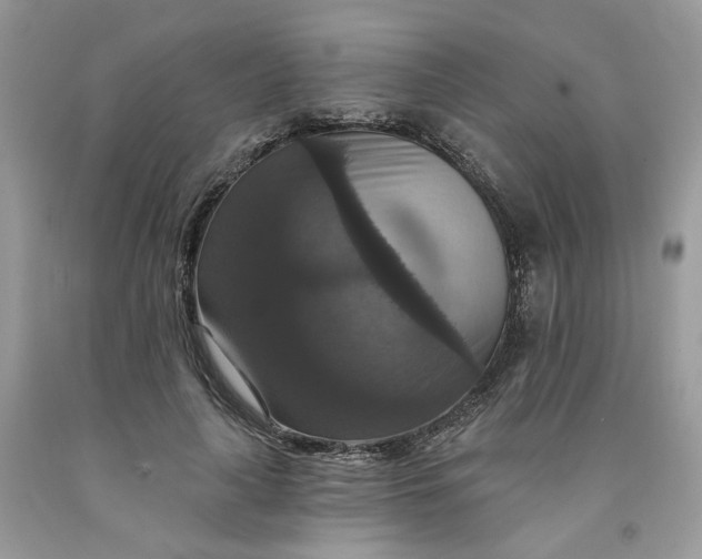 X0000091460643200709061757