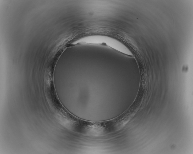 X0000091460644200709061757