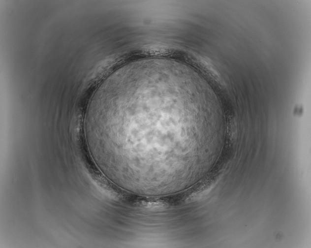 X0000091460645200709061757