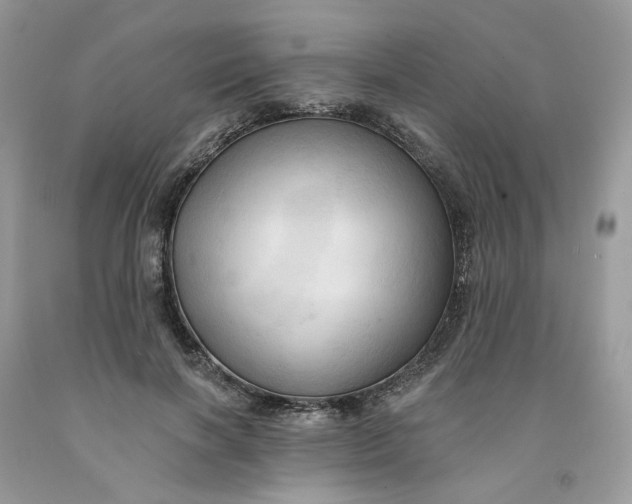 X0000091460646200709061757