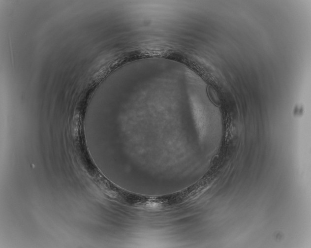 X0000091460647200709061757