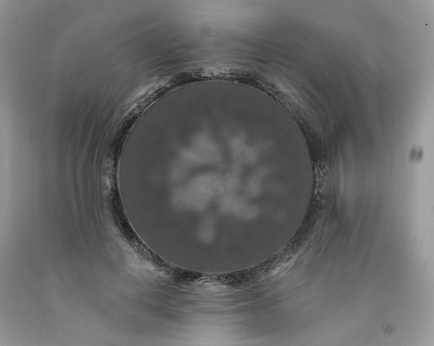 X0000091460648200709061757