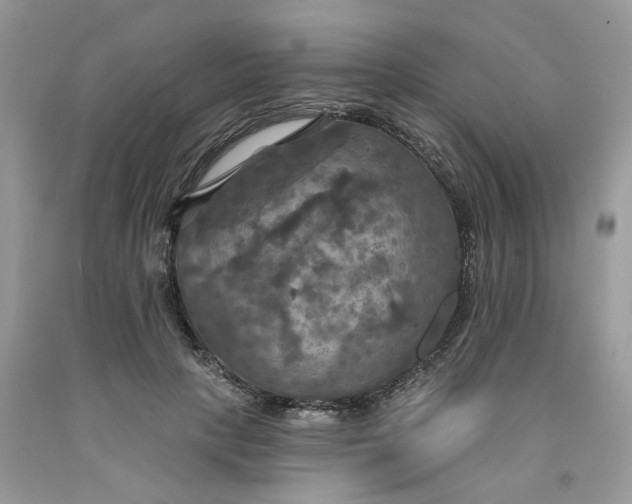 X0000091460649200709061757