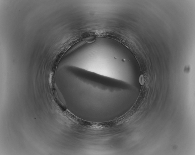 X0000091460650200709061757