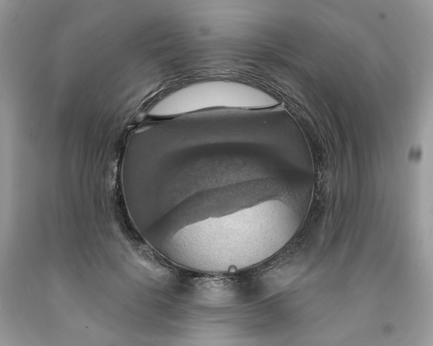 X0000091460652200709061757