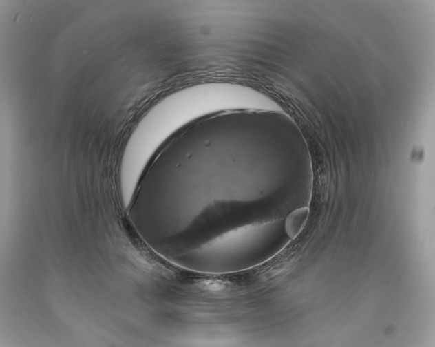 X0000091460654200709061757